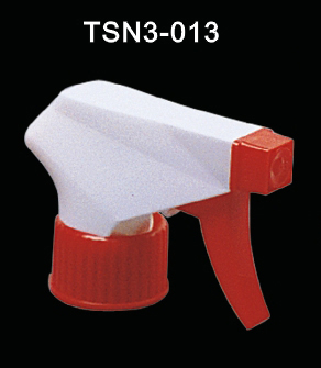 TSN3-013