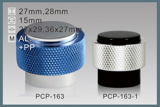 PCP-163 PCP-163-1