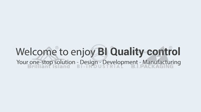 BI Quality Control