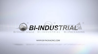 BI INDUSTRIAL COMPANY INTRODUCTION