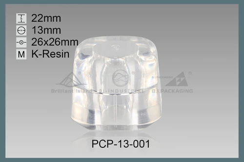 PCP-13-001