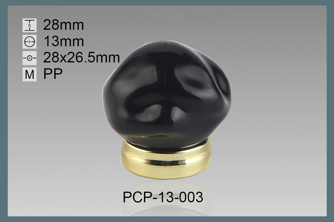 PCP-13-003